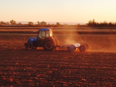 agroalimentario y fotonica